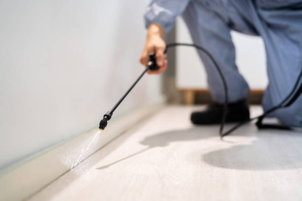 Licensed Pest Control service in Durand, MI - Show Me Pest Control