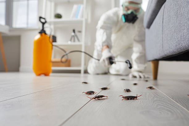 Commercial Kitchen Cockroach Control in Durand